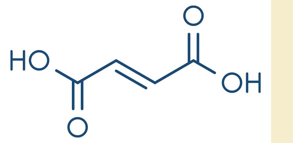 フマル酸（fumal acid）